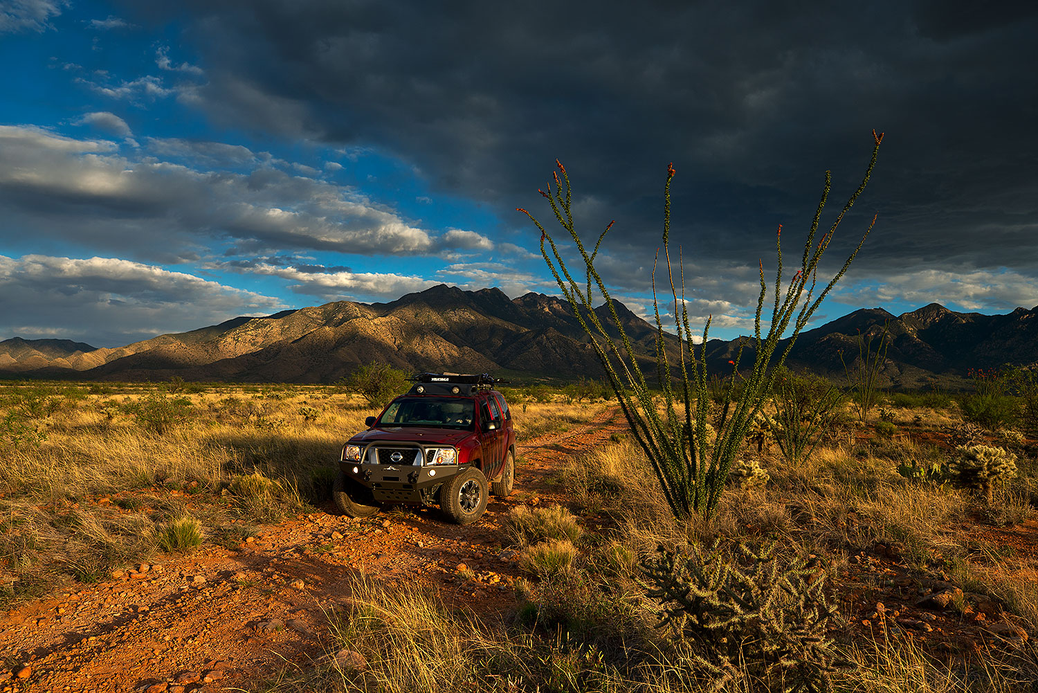 2018-04-27-st-ritas-viv77-a7r3_1567