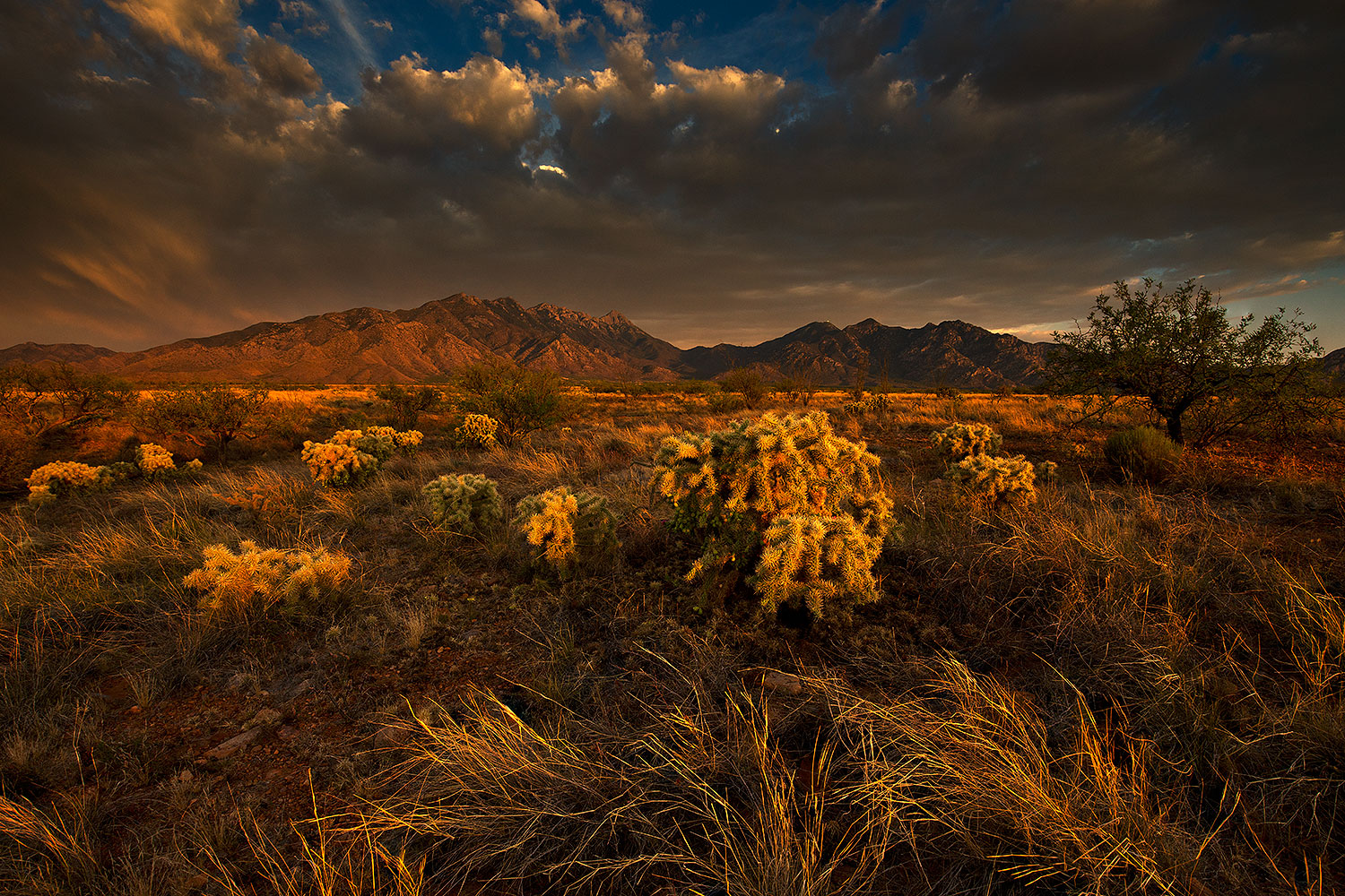 2018-06-08-st-ritas-viv1-5to9-a7r3_01664