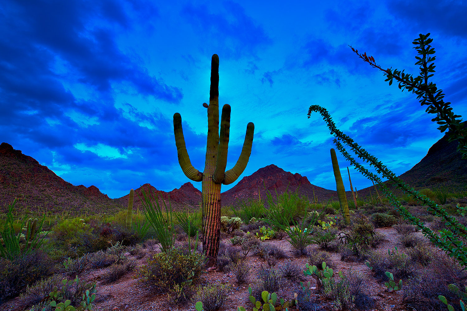 2018-07-11-tuc-mtns-viv77-a7r3_2101