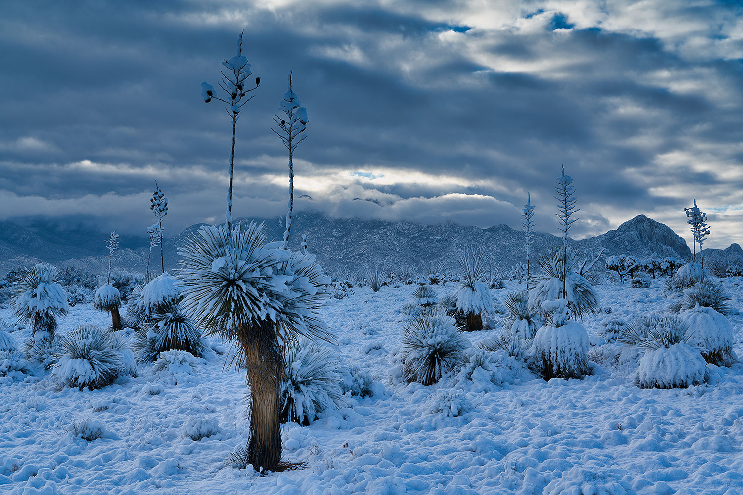 2019-01-02-st-rita-fog-3all-0to3-a7r3_5249