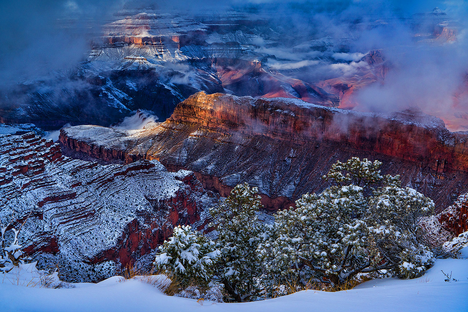 2019-01-06-grand-fog-im77-a7r3_6775