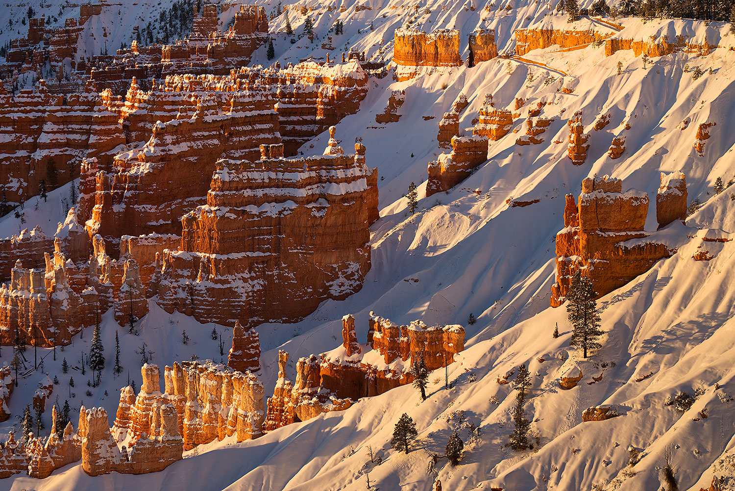 2019-01-19-bryce-morn-im6-a7r3_10608