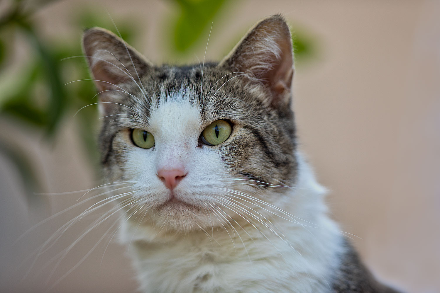 2019-01-20-gv-skooter-ton1-5d4_0020