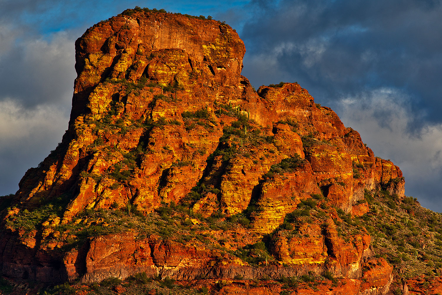 2019-02-04-red-mtn-im1im1-a7r3_11254