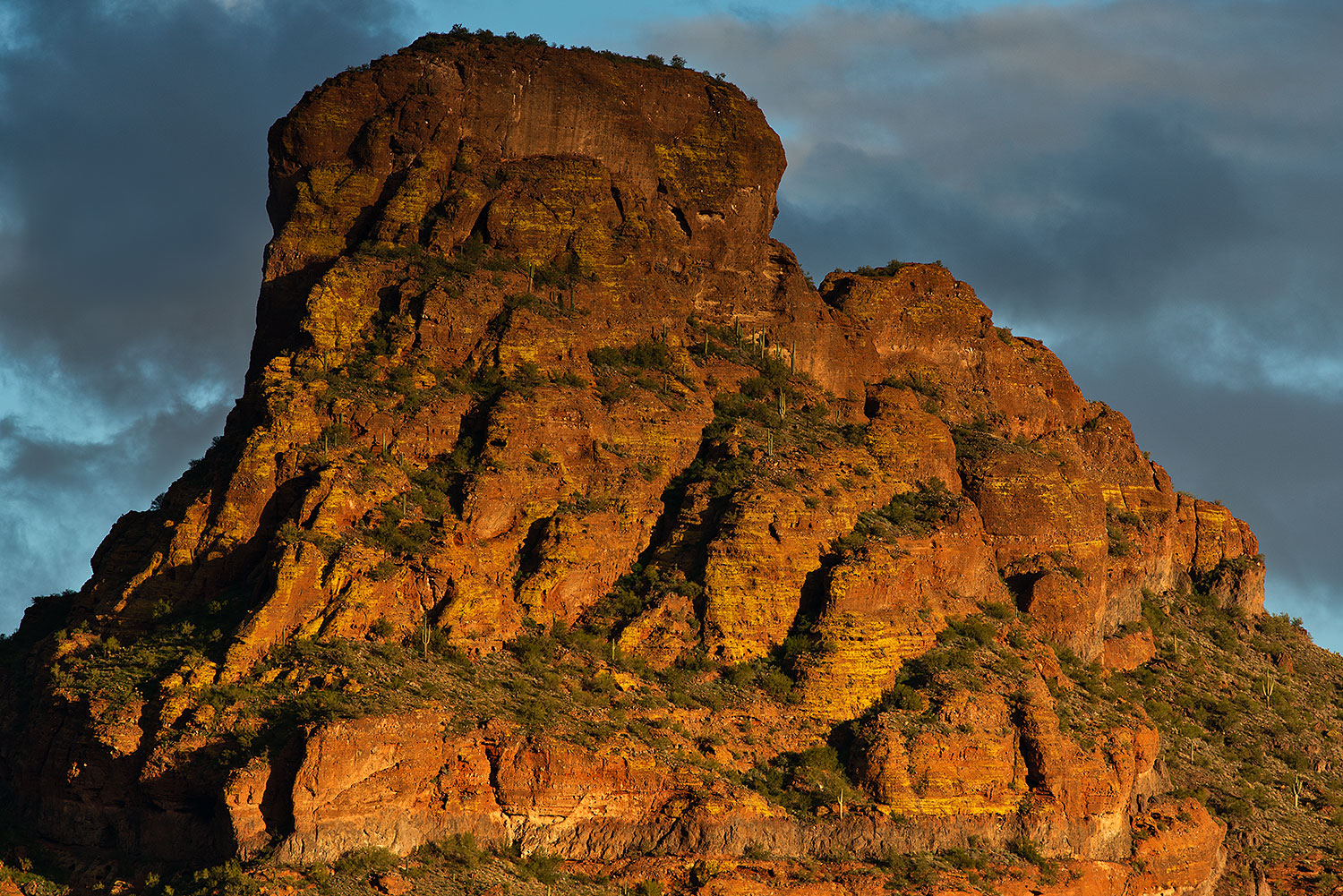 2019-02-05-red-mtn-im7-33-a7r3_11345