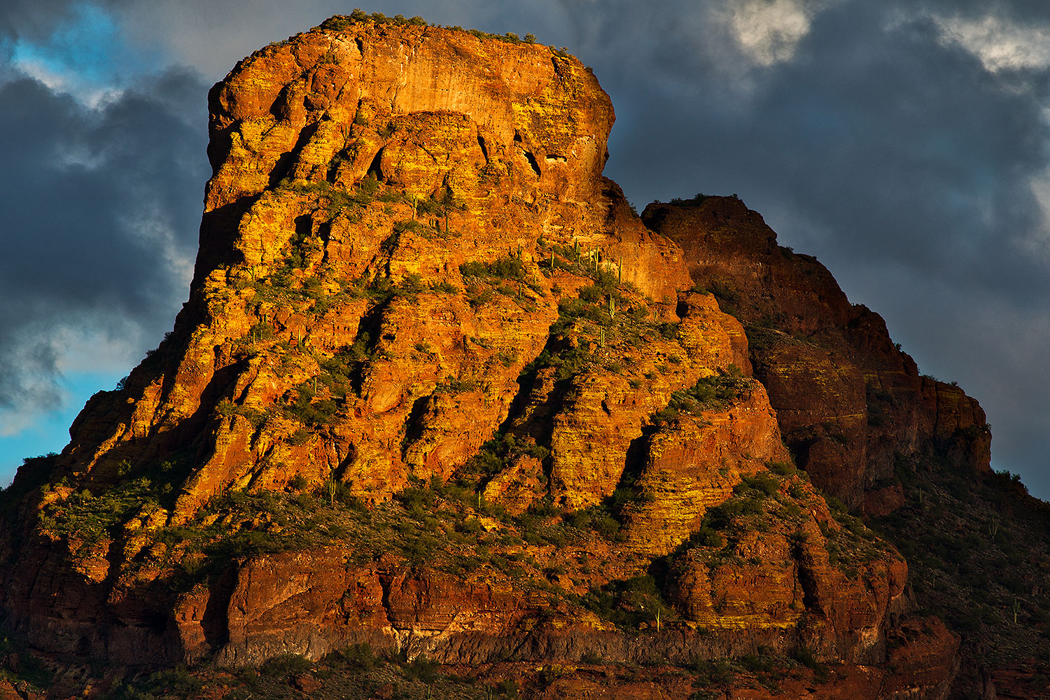 2019-02-05-red-mtn-viv1-13-a7r3_11307