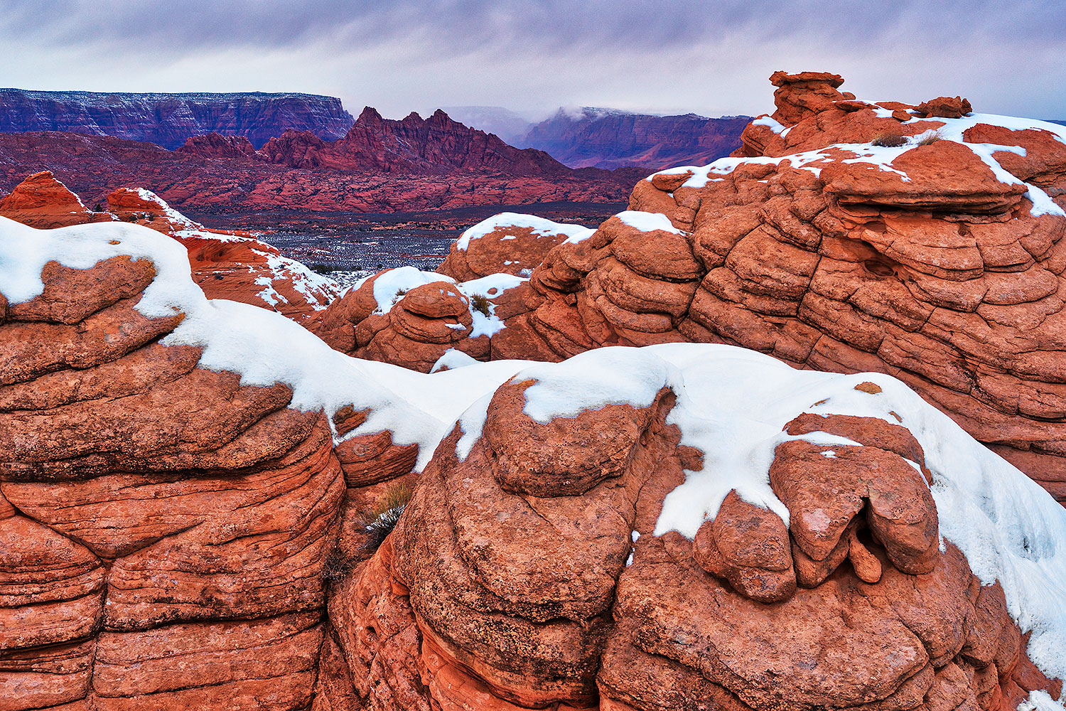 2019-02-20-page-snow-ton1-8to4-a7r3_11847