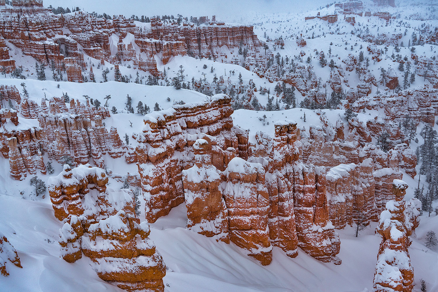 2019-02-21-bryce-snow-7to9-a7r3_12110
