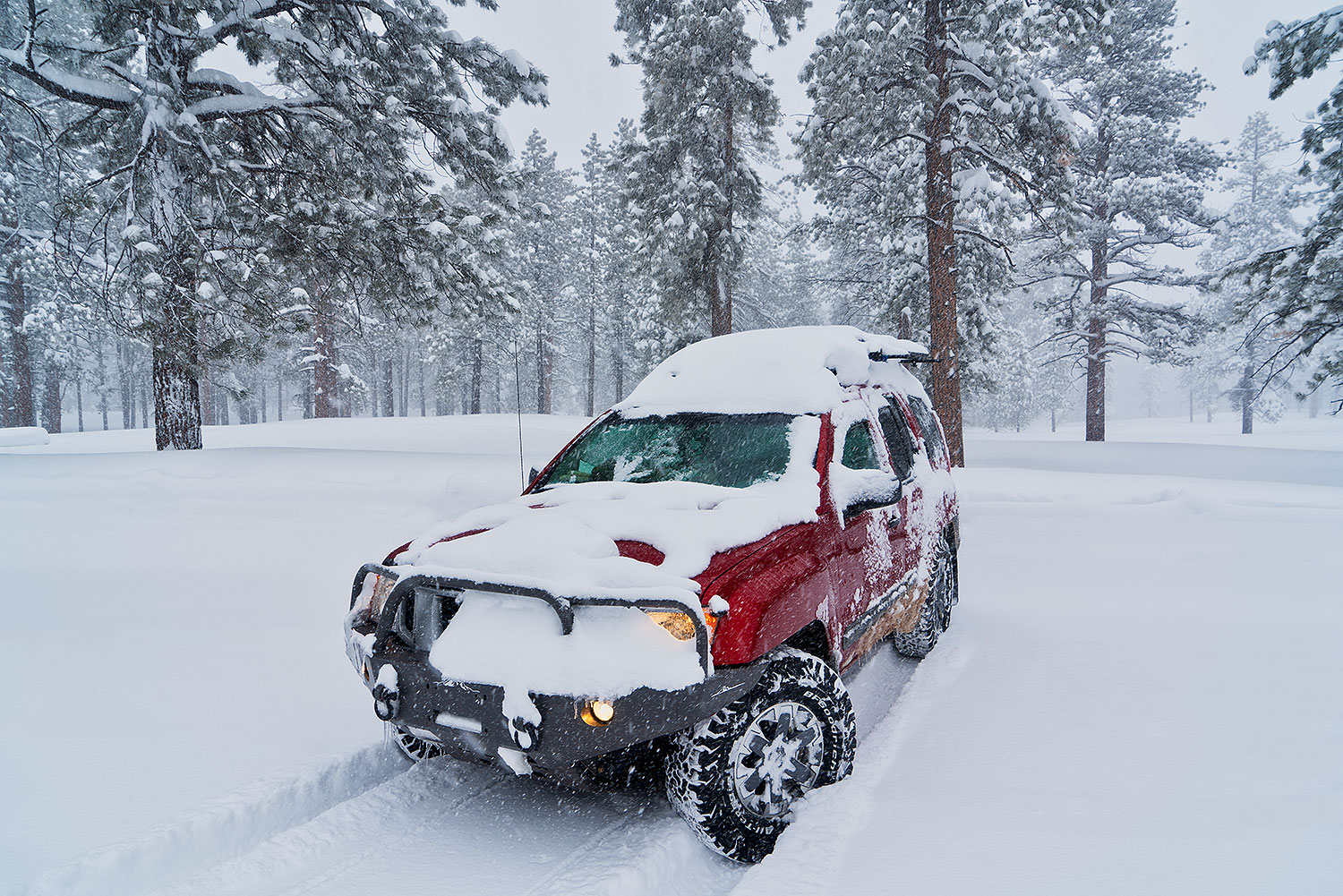 2019-02-21-bryce-xterra-a7r3_11986