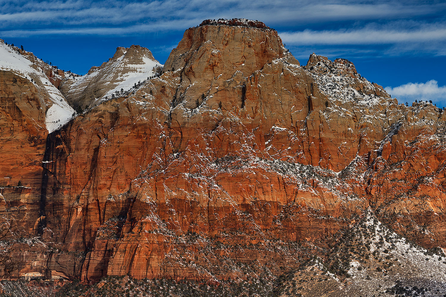 2019-02-24-zion-rocks-mi5-a7r3_13986