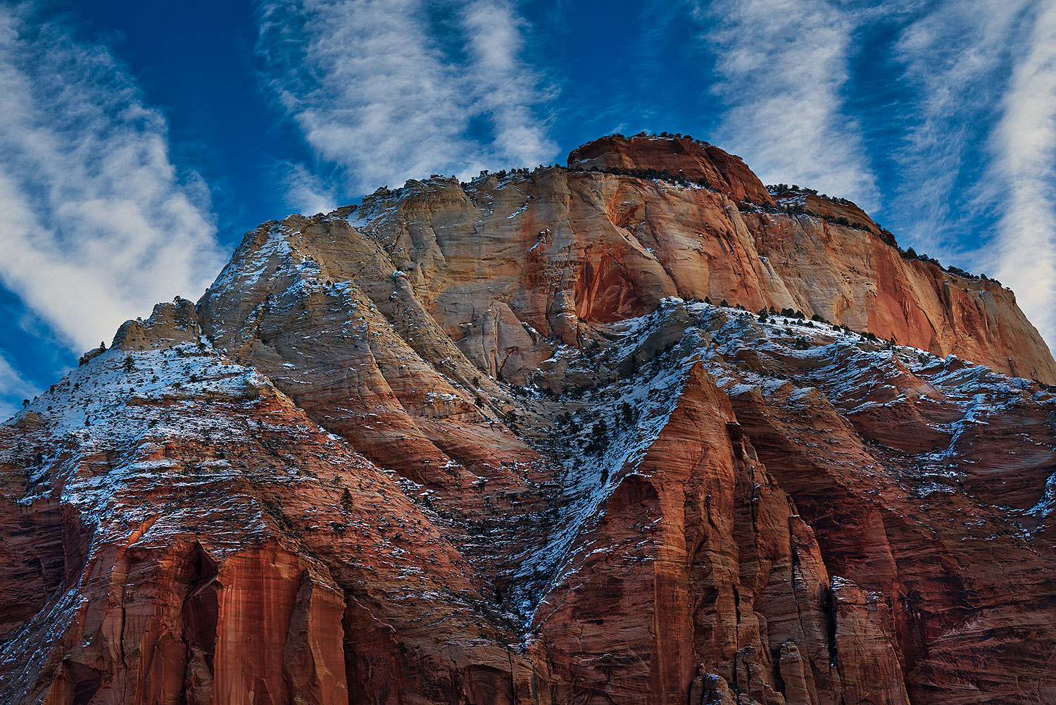 2019-02-24-zion-rocks-mi5-a7r3_14073