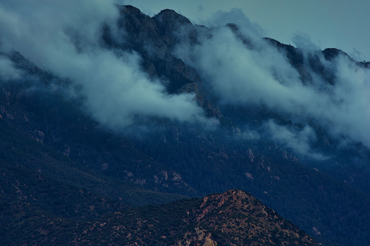 2019-07-31-santa-rita-mi1-a7r3_17742