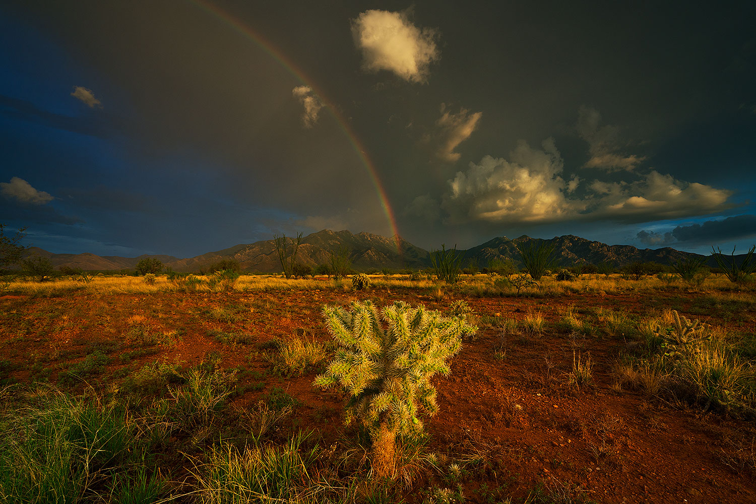 2019-08-01-santa-rita-viv1-1to4-a7r3_17790