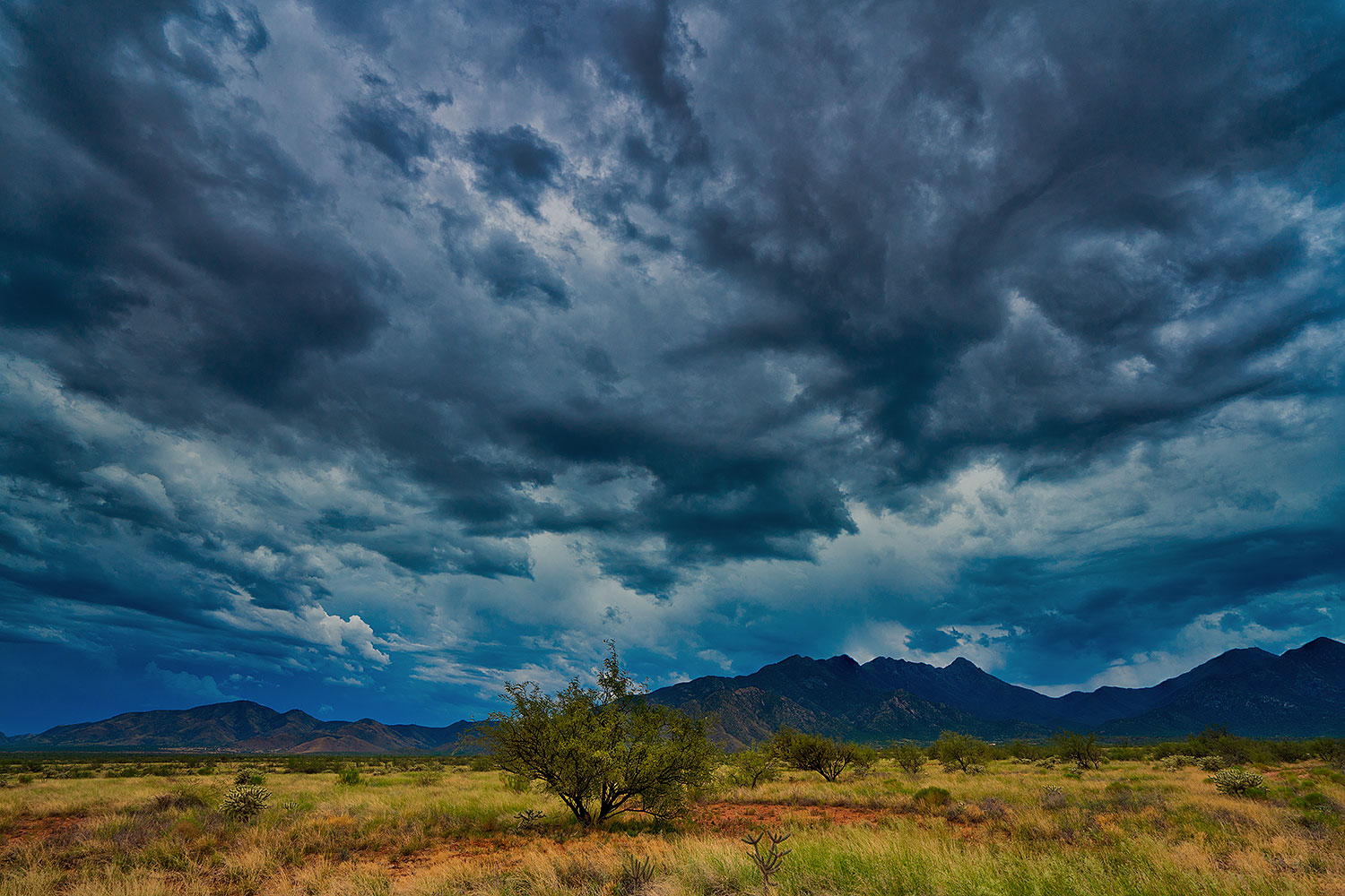 2019-08-03-santa-rita-viv1ton7-6to9-a7r3_17855