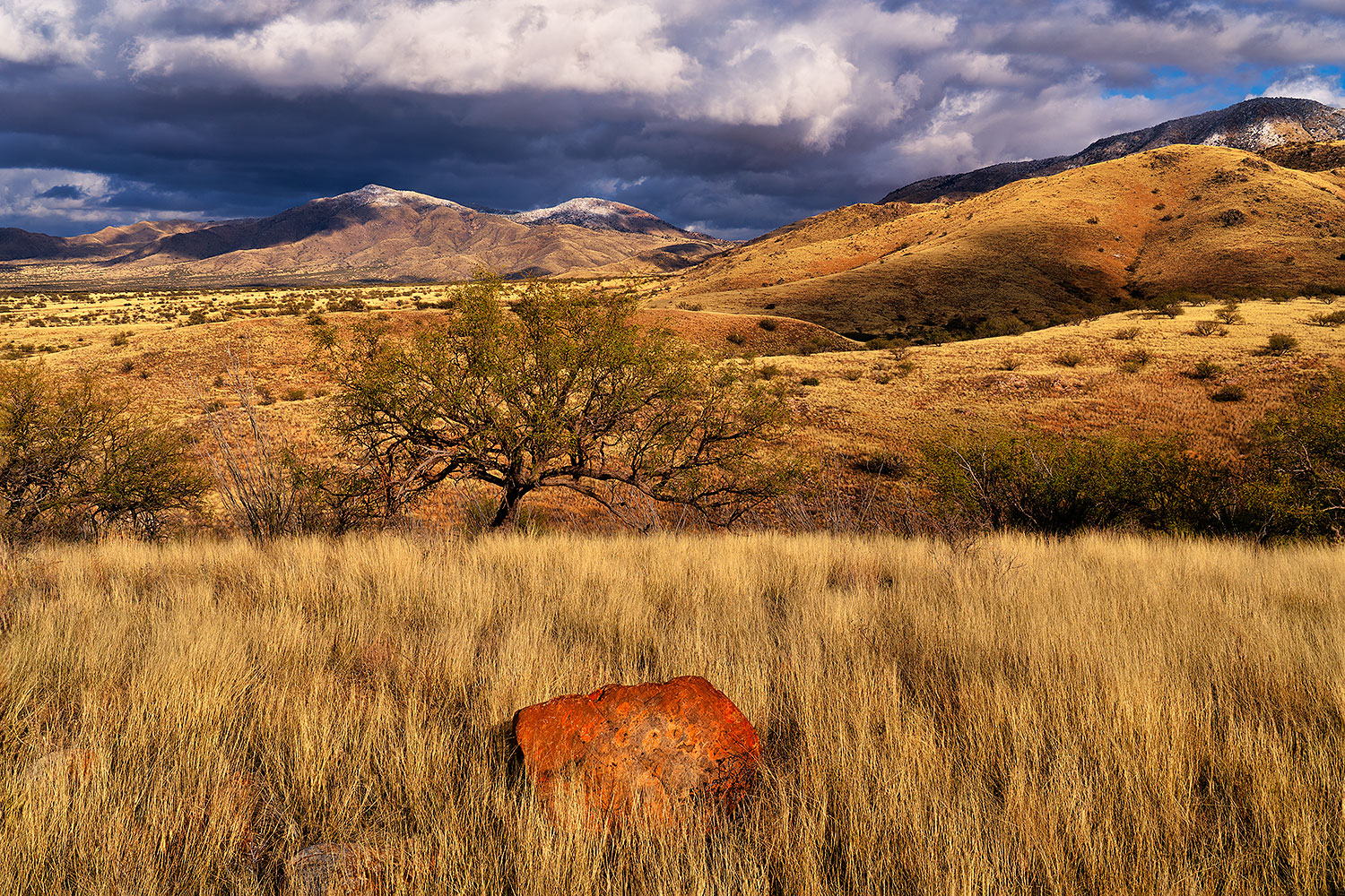 2019-12-28-box-canyon-2to6-a7r3_20601