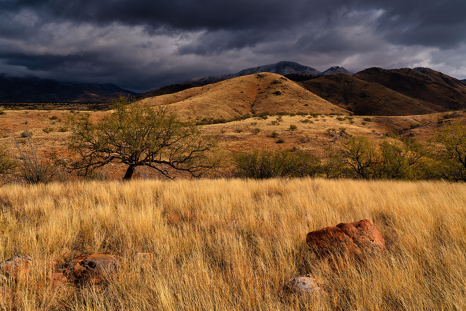 2019-12-28-box-canyon-9to3-a7r3_20148