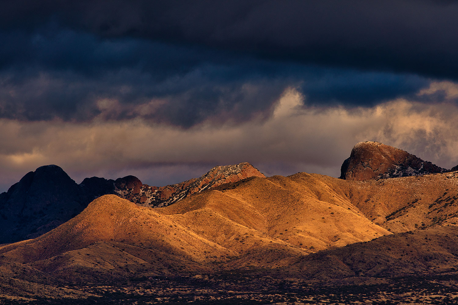 2019-12-28-rita-hills-a7r3_20692