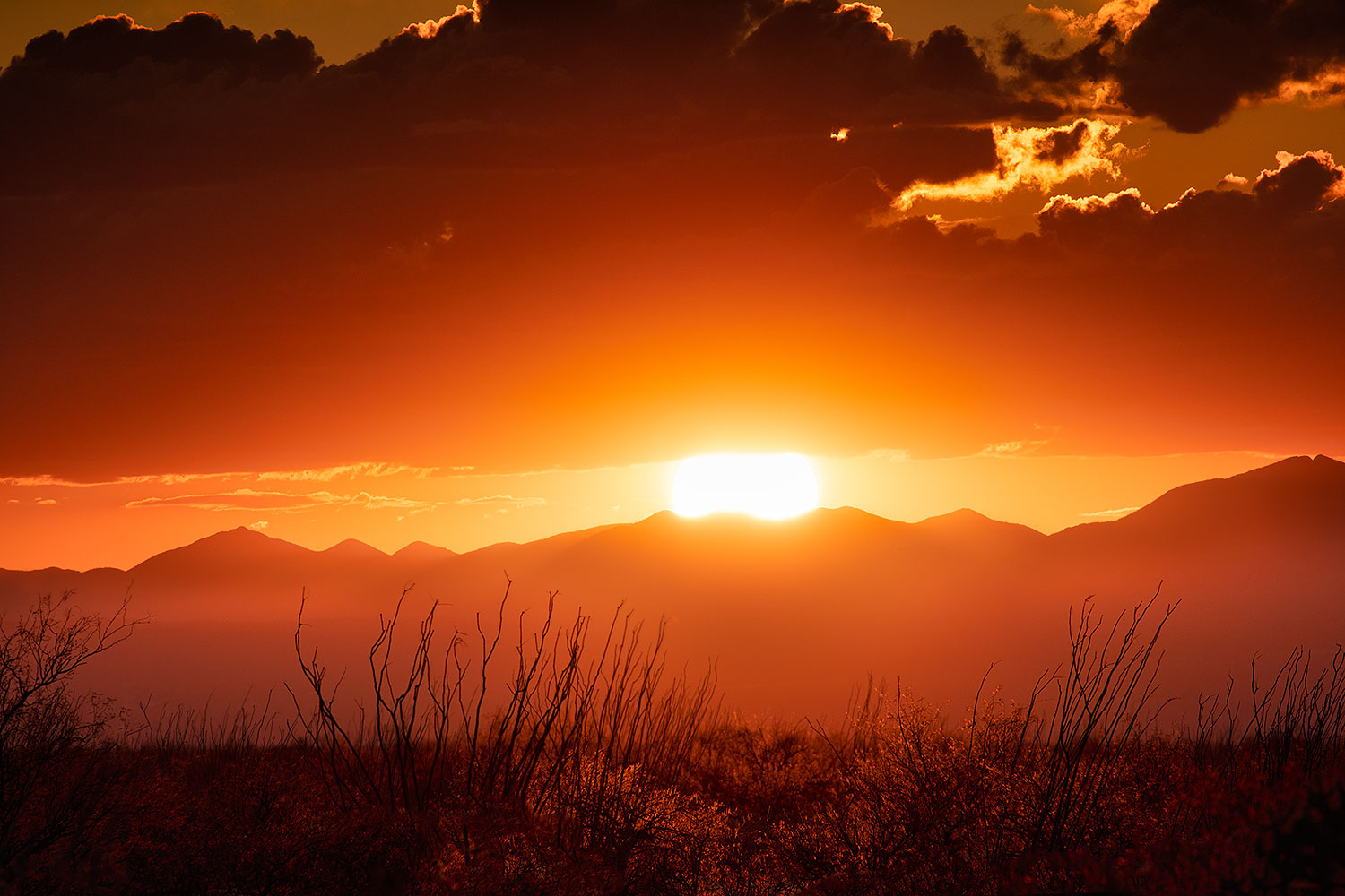 2020-01-29-gv-sunset-56-a7r3_21657