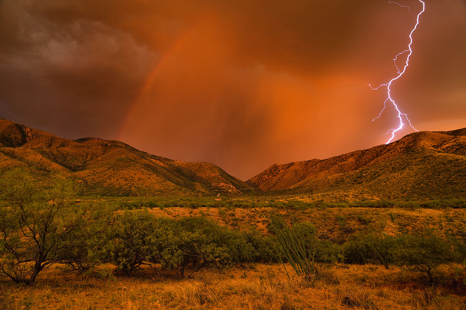 2020-07-31-box-canyon-lightning-16to21-a7r3_29750