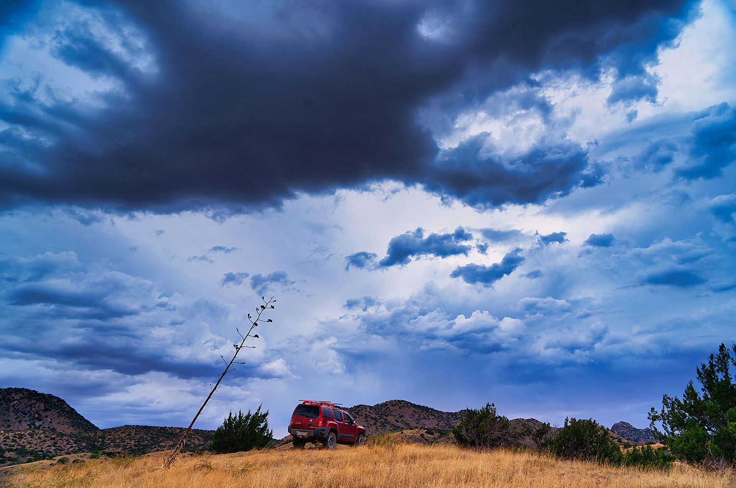 2020-08-13-box-hillls-xterra-0to5n3-a7r3_30769