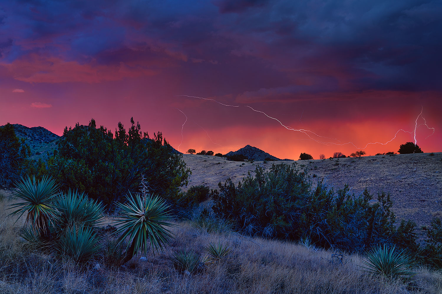 2020-08-13-box-top-0to4-21-16-a7r4_30798